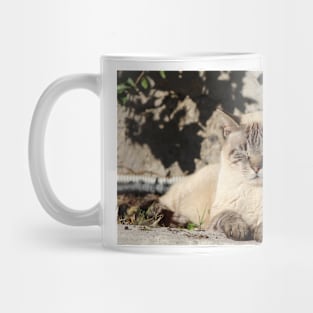 Cat Sleeping Mug